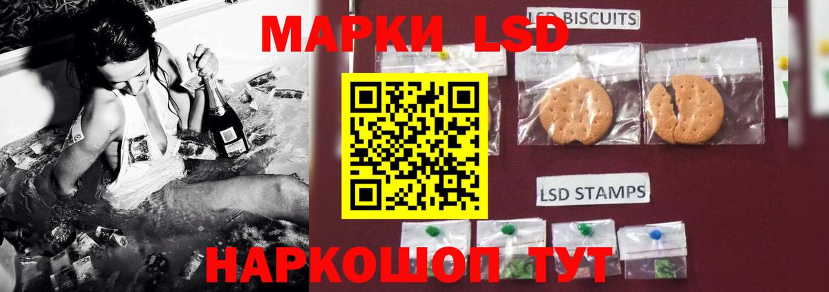 Новозыбков  LSD-25 экстази кислота  мега как войти  Вход с VPN  LSD-25 экстази ecstasy 