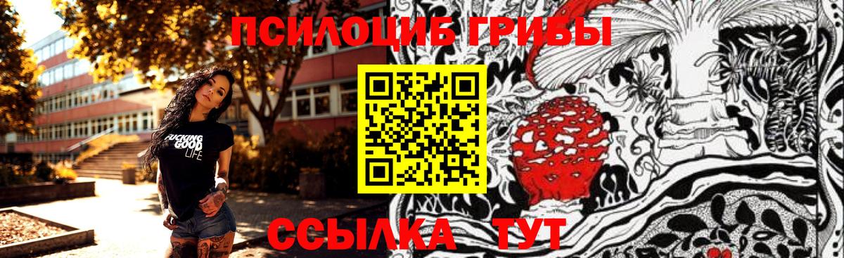 ТГК  Вход с VPN  МЕТ  Мефедрон кристаллы  ГАШИШ  Бошки Шишки  Новозыбков  Cocaine 