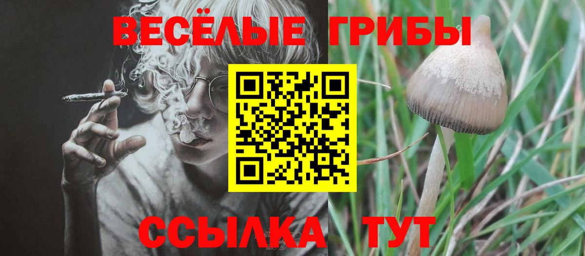 Псилоцибиновые грибы Magic Shrooms Новозыбков