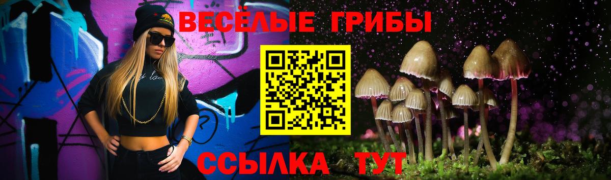 Галлюциногенные грибы прущие грибы  купить  сайты  Новозыбков  Галлюциногенные грибы GOLDEN TEACHER  Вход с VPN 